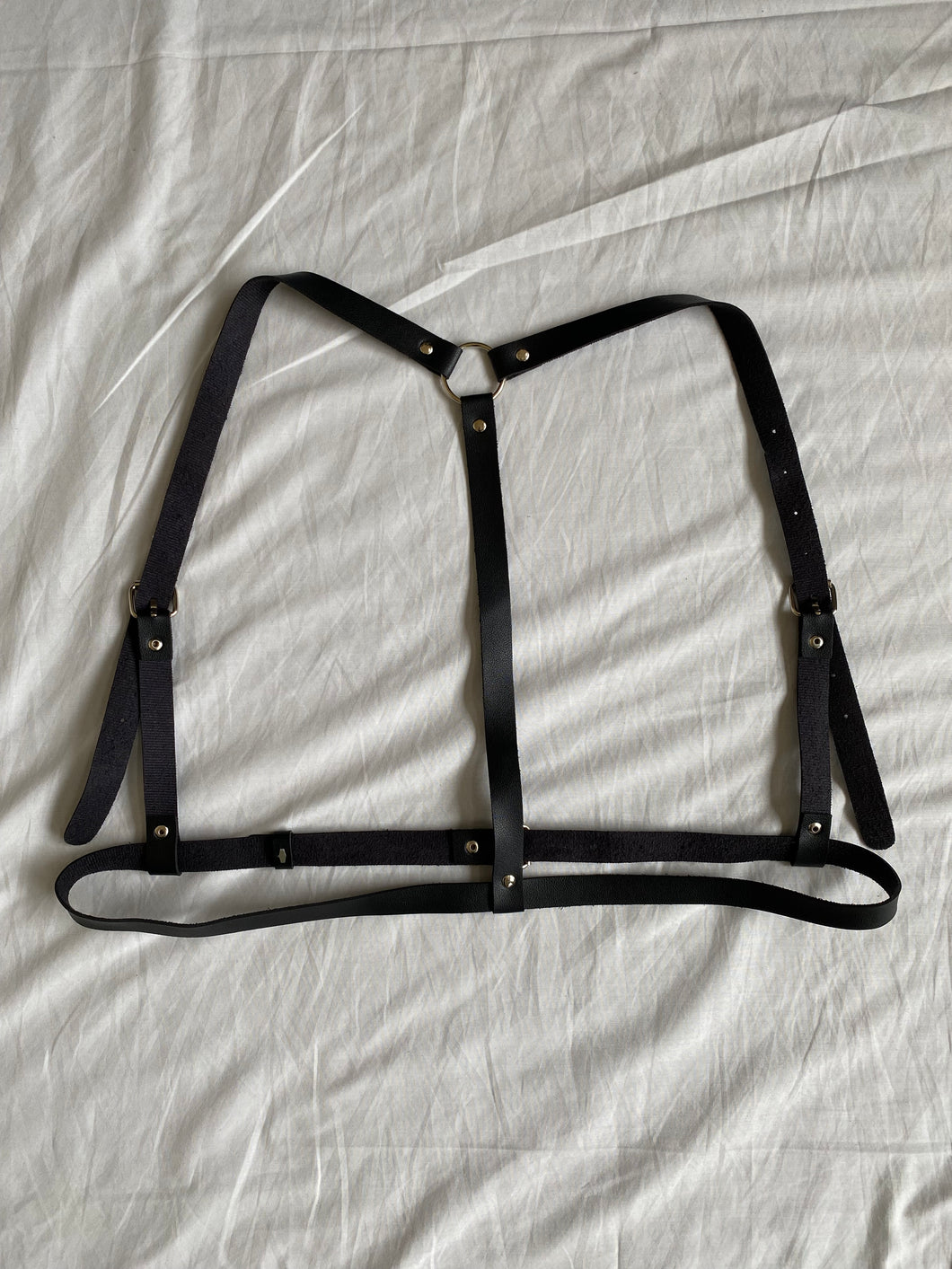 Body Harness: Size L/XL